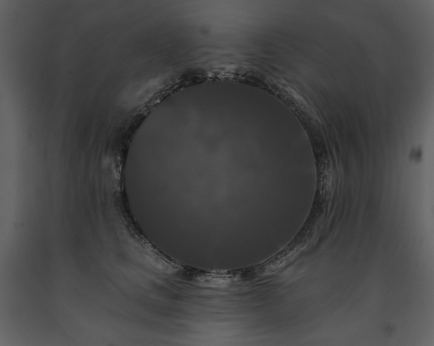 X0000091510661200708241630