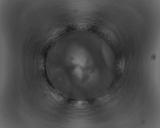 X0000091510663200708241630