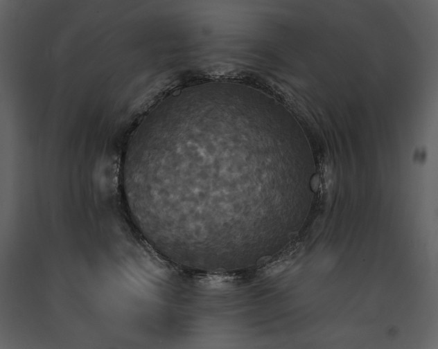 X0000091510664200708241630