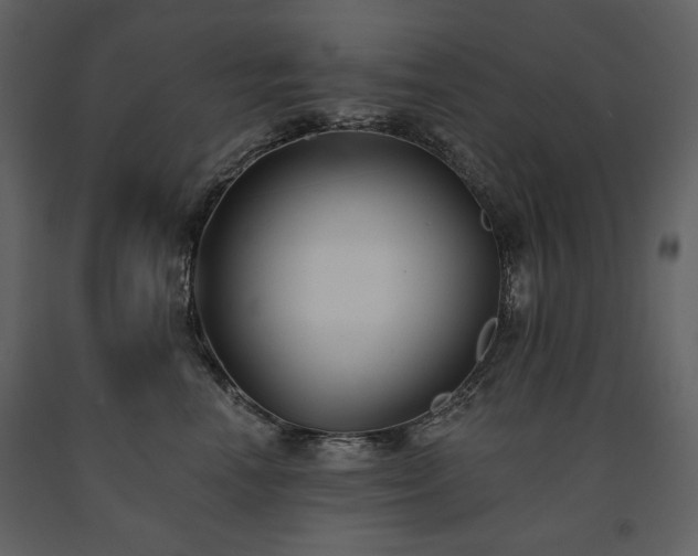 X0000091510666200708241630