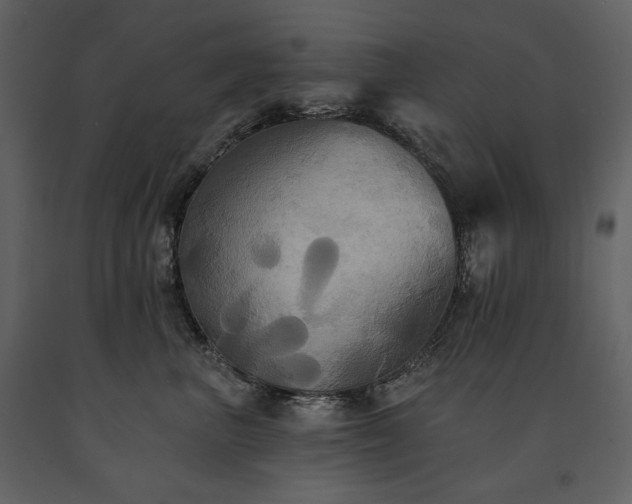 X0000091510667200708241630