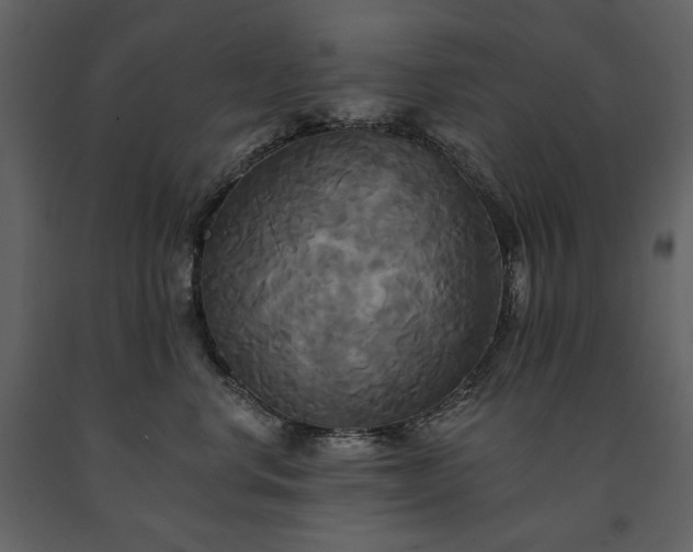 X0000091510668200708241630