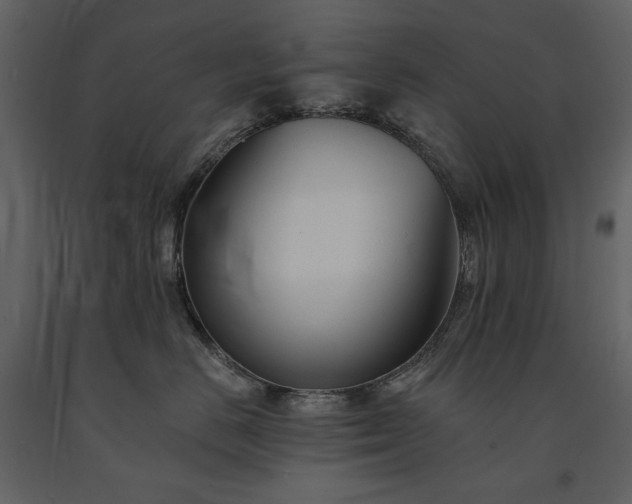 X0000091510670200708241630