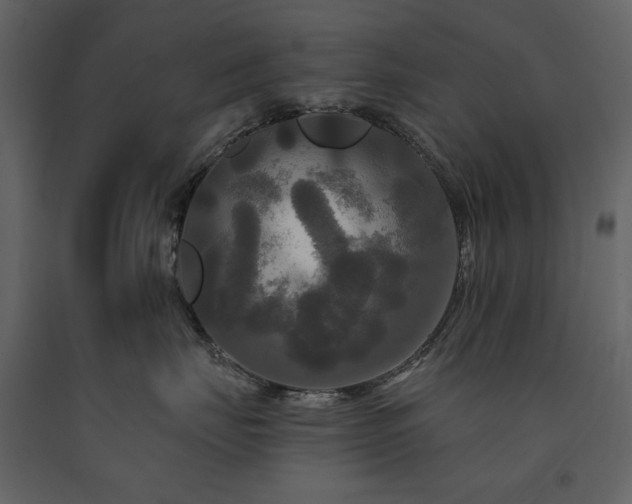 X0000091510671200708241630