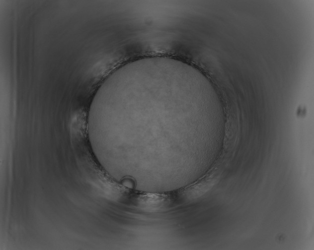 X0000091510672200708241630