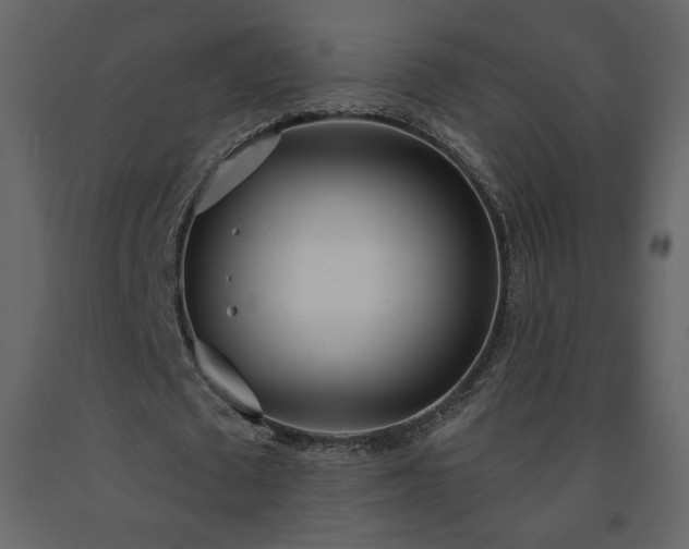 X0000091510673200708241629