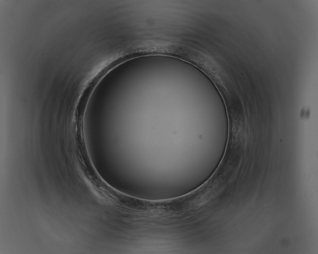 X0000091510674200708241629