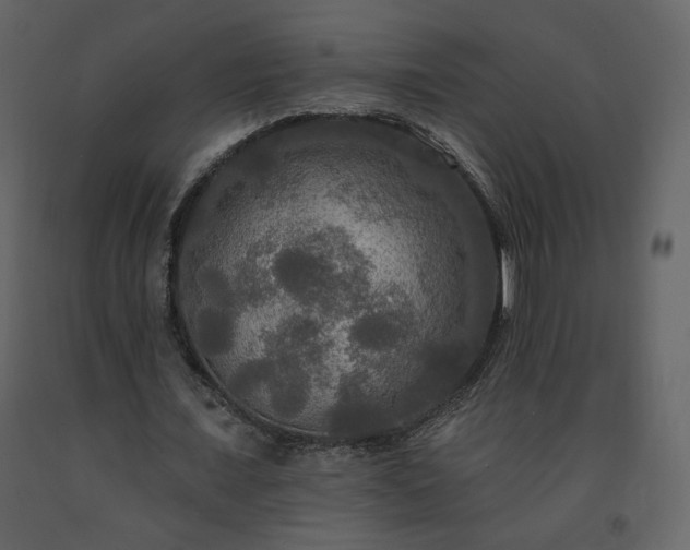 X0000091510675200708241629