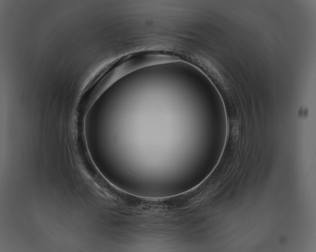 X0000091510676200708241629