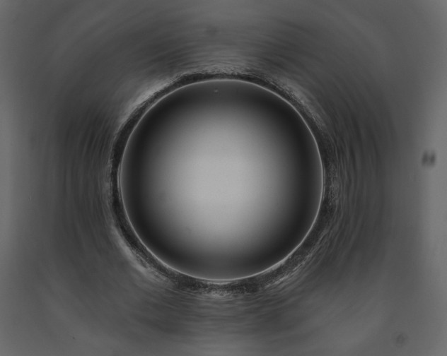 X0000091510677200708241629