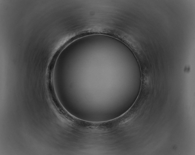 X0000091510678200708241629