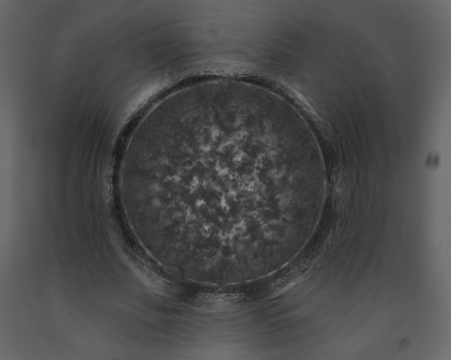 X0000091510679200708241629