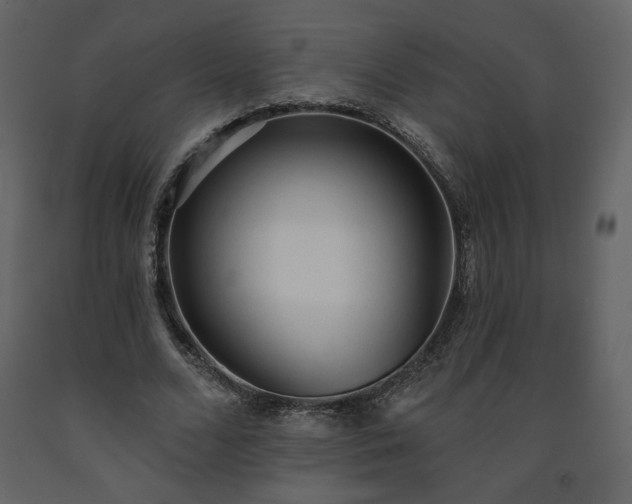 X0000091510680200708241629