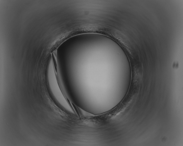 X0000091510681200708241629