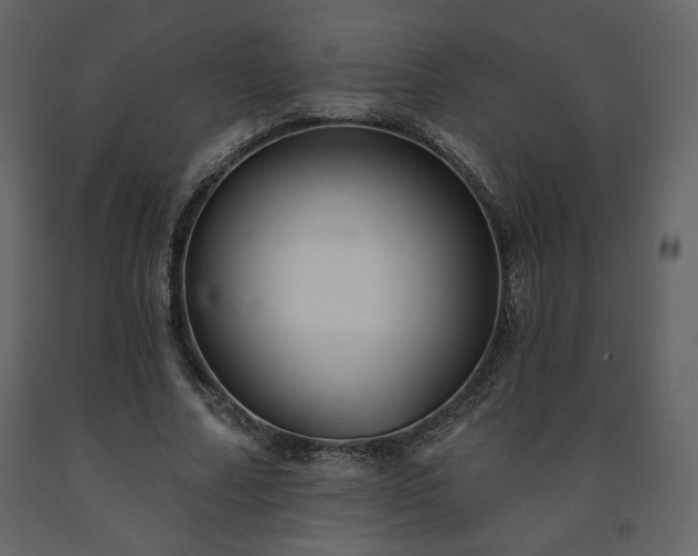 X0000091510682200708241629