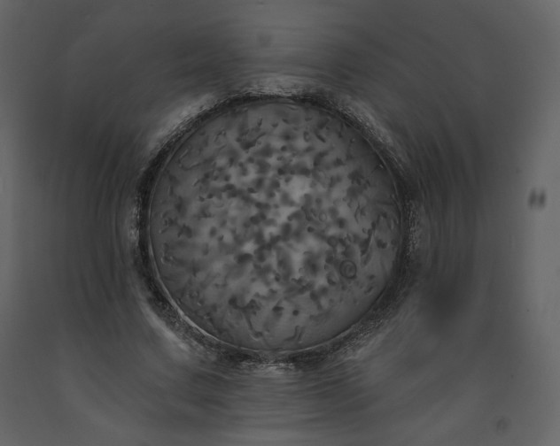 X0000091510683200708241629