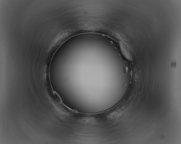 X0000091510685200708241629