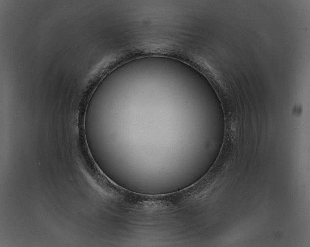 X0000091510686200708241629