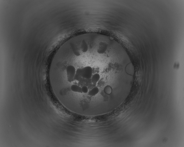 X0000091510687200708241629