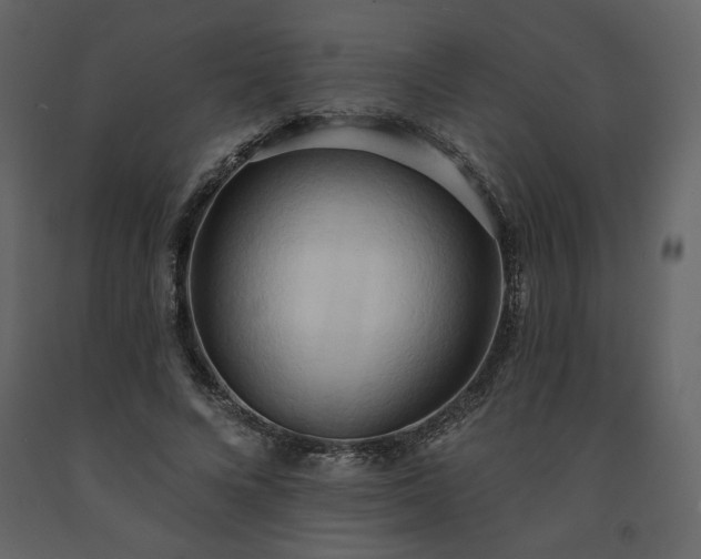 X0000091510688200708241629