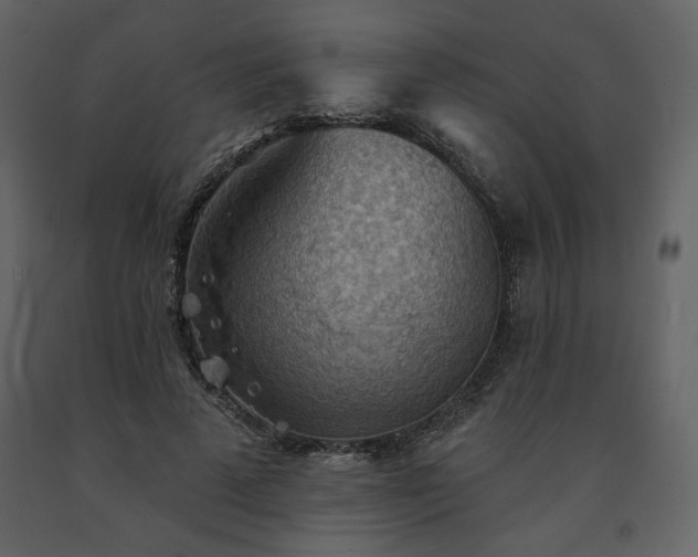 X0000091510689200708241629