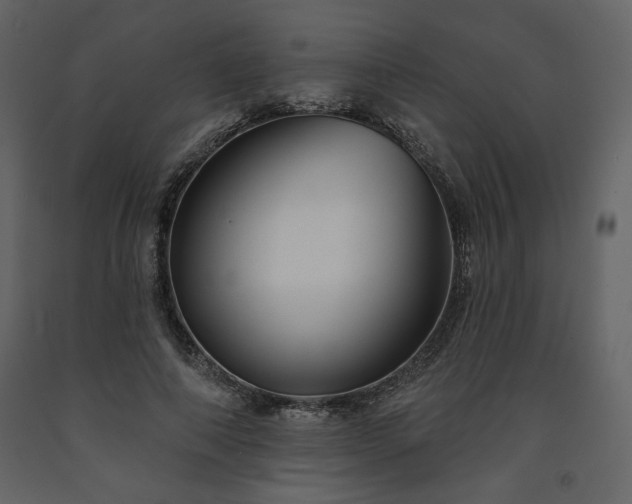 X0000091510690200708241629