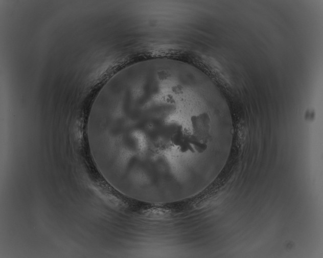 X0000091510691200708241629