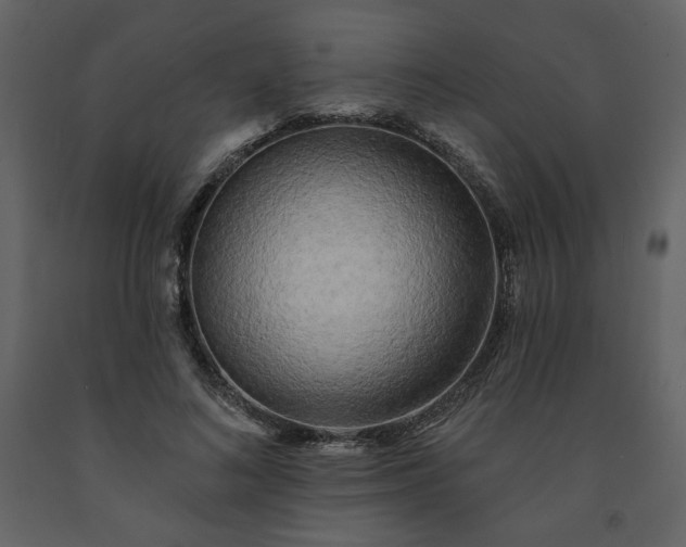 X0000091510692200708241629