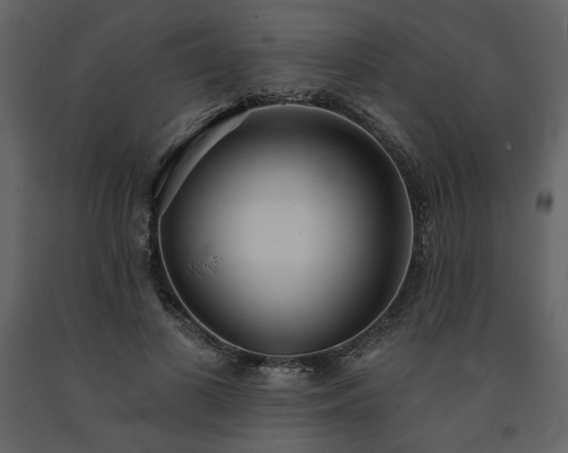 X0000091510693200708241629