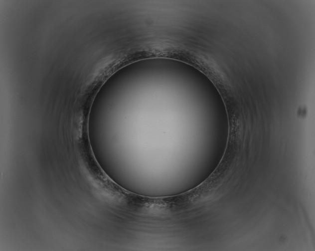 X0000091510694200708241629