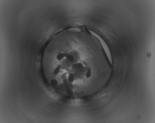 X0000091510695200708241629