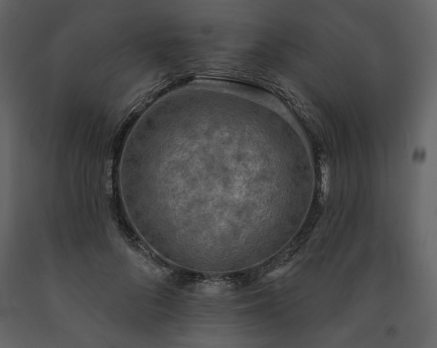 X0000091510696200708241629