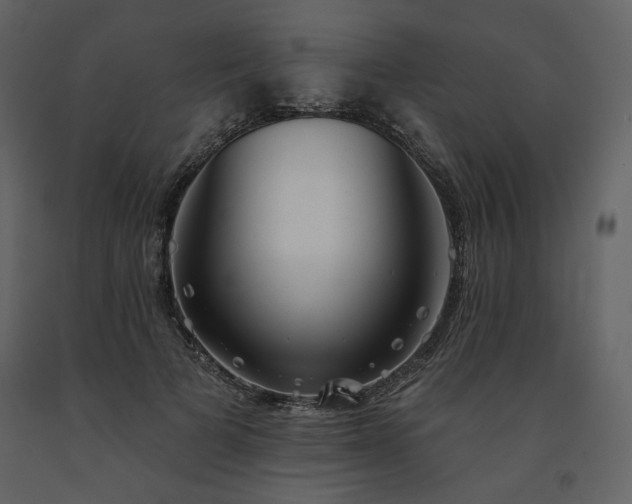 X0000091510697200708241629