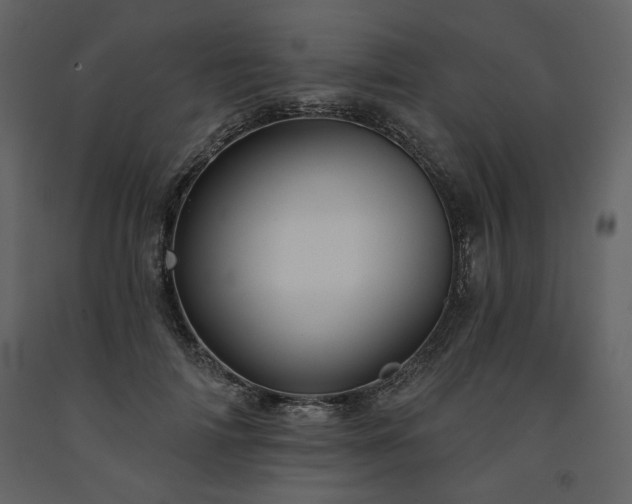 X0000091510698200708241629