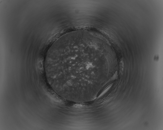 X0000091510699200708241629