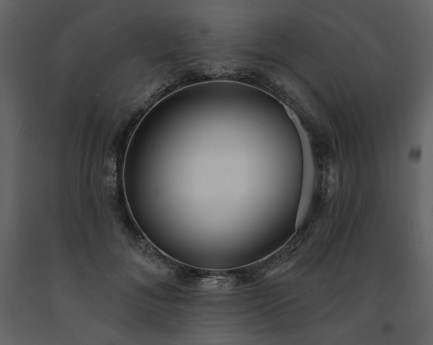 X0000091510700200708241629