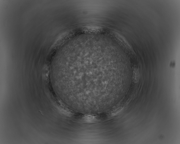 X0000091510701200708241629