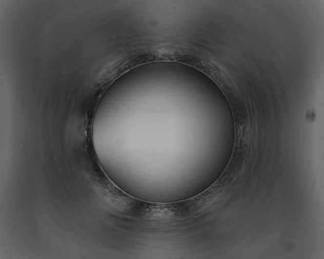 X0000091510702200708241629