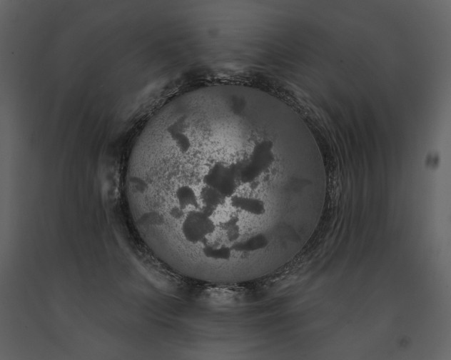 X0000091510703200708241629