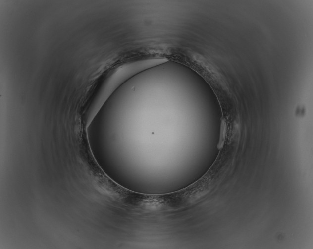 X0000091510704200708241629