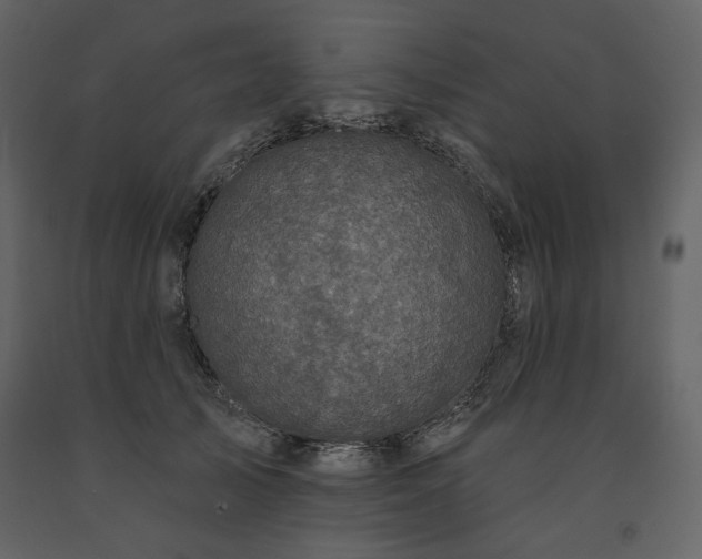 X0000091510705200708241629