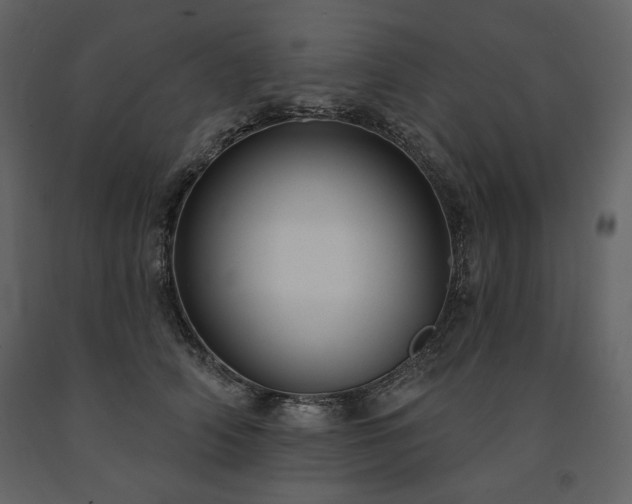 X0000091510706200708241629