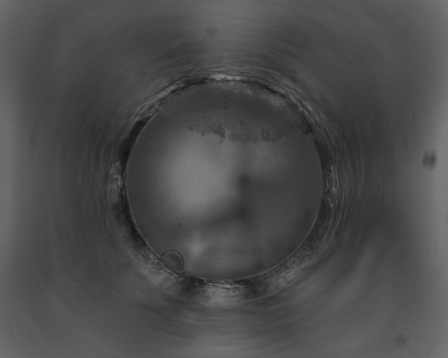 X0000091510707200708241629