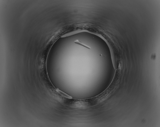 X0000091510708200708241629