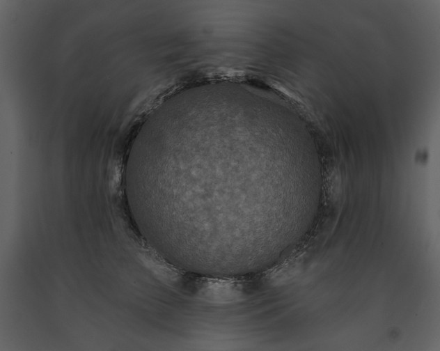 X0000091510709200708241629