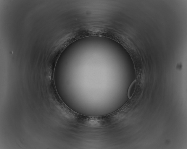 X0000091510710200708241629