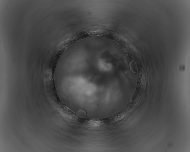 X0000091510711200708241629