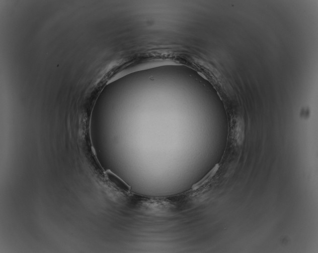 X0000091510712200708241629