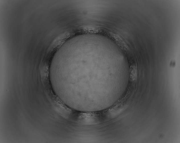 X0000091510713200708241629