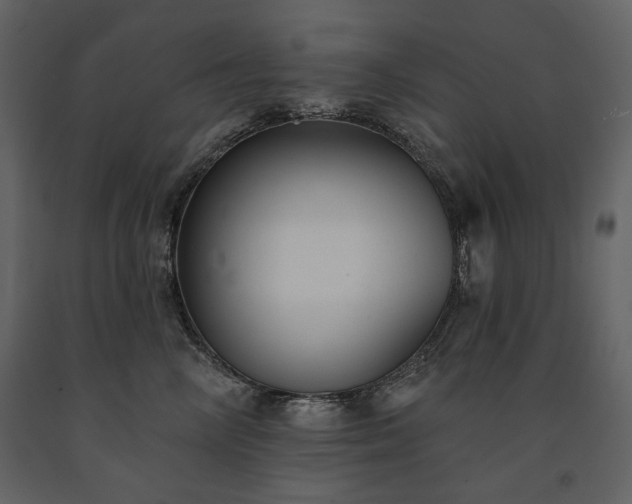 X0000091510714200708241629